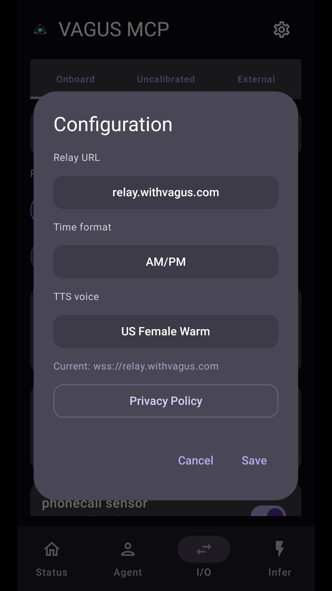 VAGUS MCP Configuration
